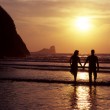Valentine's Healthy, Green and Budget Friendly Staycation Vacation Ideas and Tips