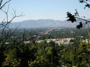 How to be vegan, healthy and gluten free while traveling in Studio City, California