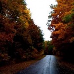 5 Tips For Staying Safe on the Road This Fall