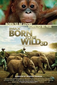 born_to_be_wild_3d_poster