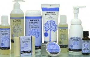 Group_Lav