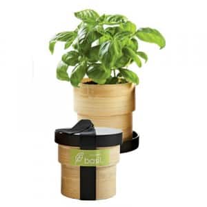 1005p24-potting-kit-l Potting Shed Creations Eco Plant Growing Kit Video Review