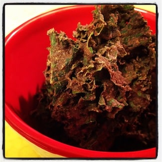 Raw Vegan Chocolate Kale Chips Recipe