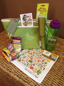 HVTK1 Healthy Voyager Healthy, Vegan and Eco-Friendly Travel Kits Base Model