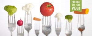 California Legislature goes Meat Free for Veg Week