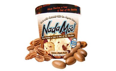 Nada Moo Vegan Coconut Milk Ice Cream Product Review