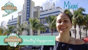Healthy Voyager Miami Vegan Travel Show