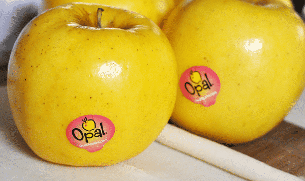 Opal: The Naturally Non-Browning Apple