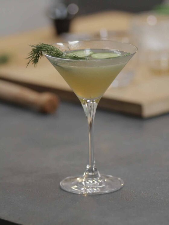 Healthy Voyager Organic Cucumber Dill Margarita Recipe Video