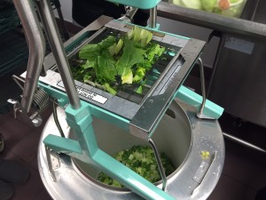 healthy voyager fresh veggies cut at wendys