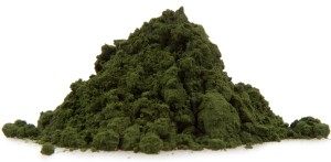 spirulina healthy voyager