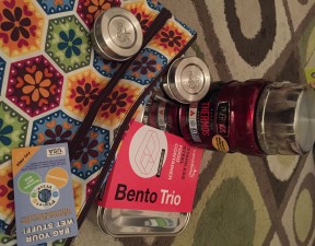 healthy food containers for travel