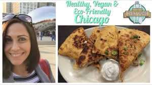healthy voyager chicago episode travel show