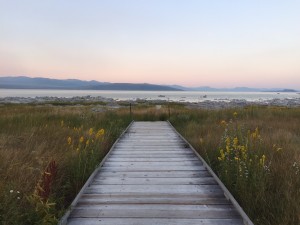welcome fall healthy voyager