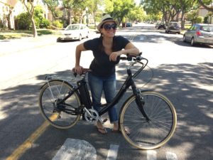 blix healthy voyager