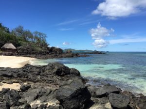 turtle island fiji beach