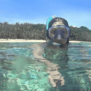 turtle island fiji snorkel