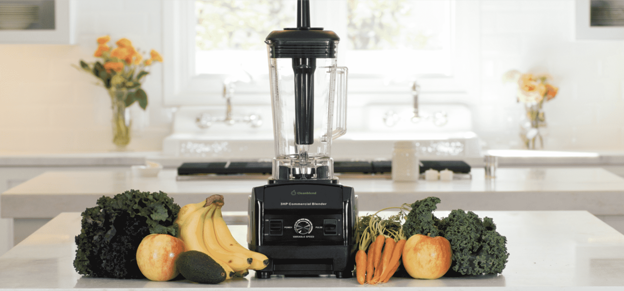 CleanBlend Blender - The Healthy Voyager