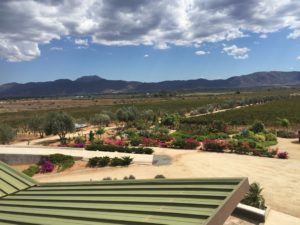 finca la carrodilla ensenada