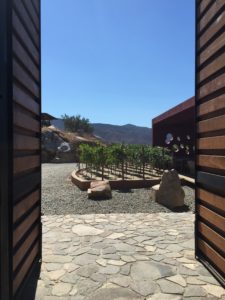 monte xanic ensenada