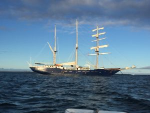 ss maryanne andando tours galapagos