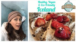 iceland healthy voyager