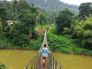 The Healthy Voyager Sri Lanka Part 2