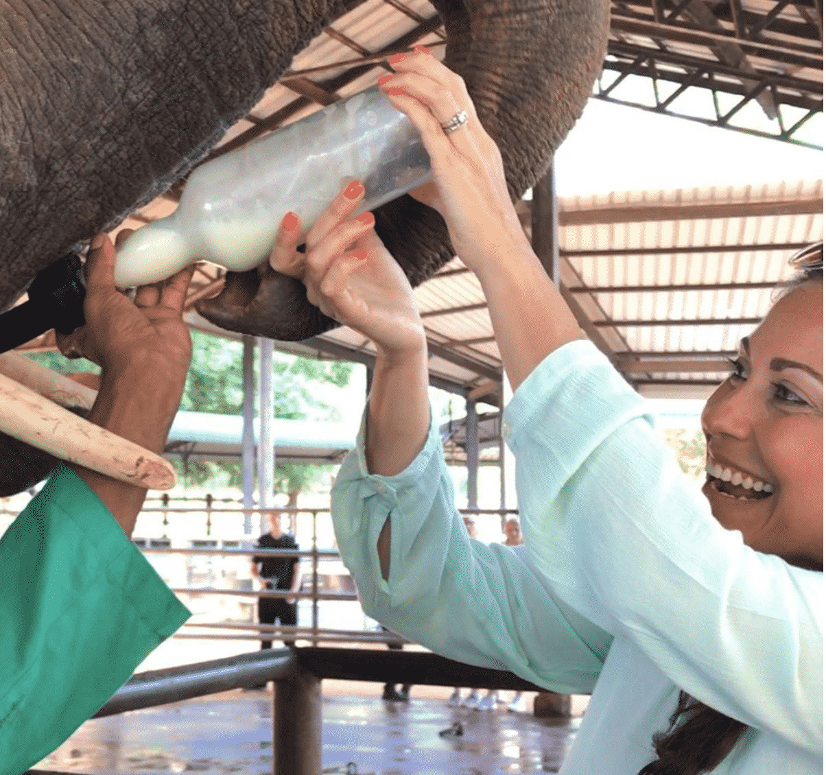 Best Destinations for an Animal Themed Vacation