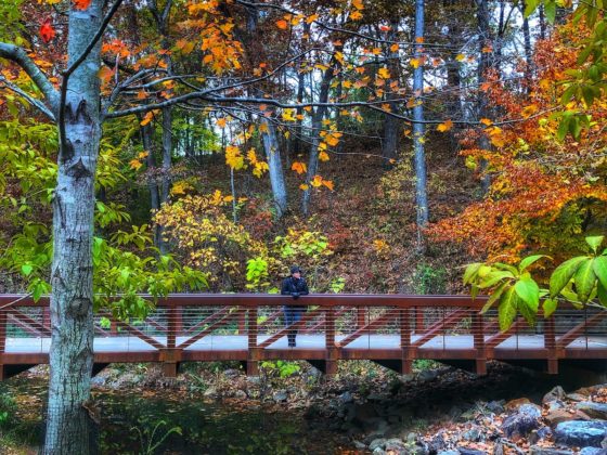 bentonville healthy voyager arkansas