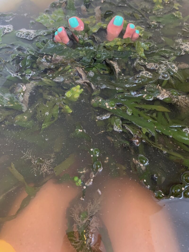 seaweed-bath-newcastle