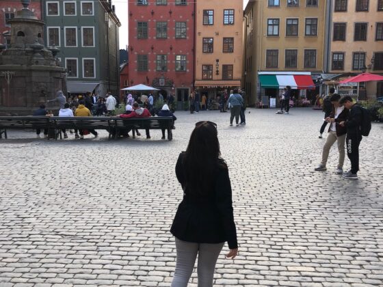 stockholm-gamla stan healthy voyager