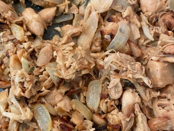 vegan-mojo-shredded-pork