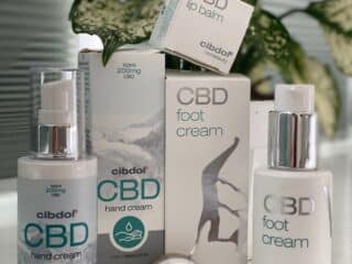 Cibdol CBD Products: The Purest in the World