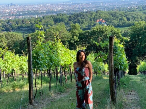 vienna-vineyard-healthy-voyager