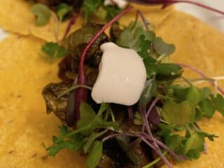 Chimichurri Mushroom Tacos