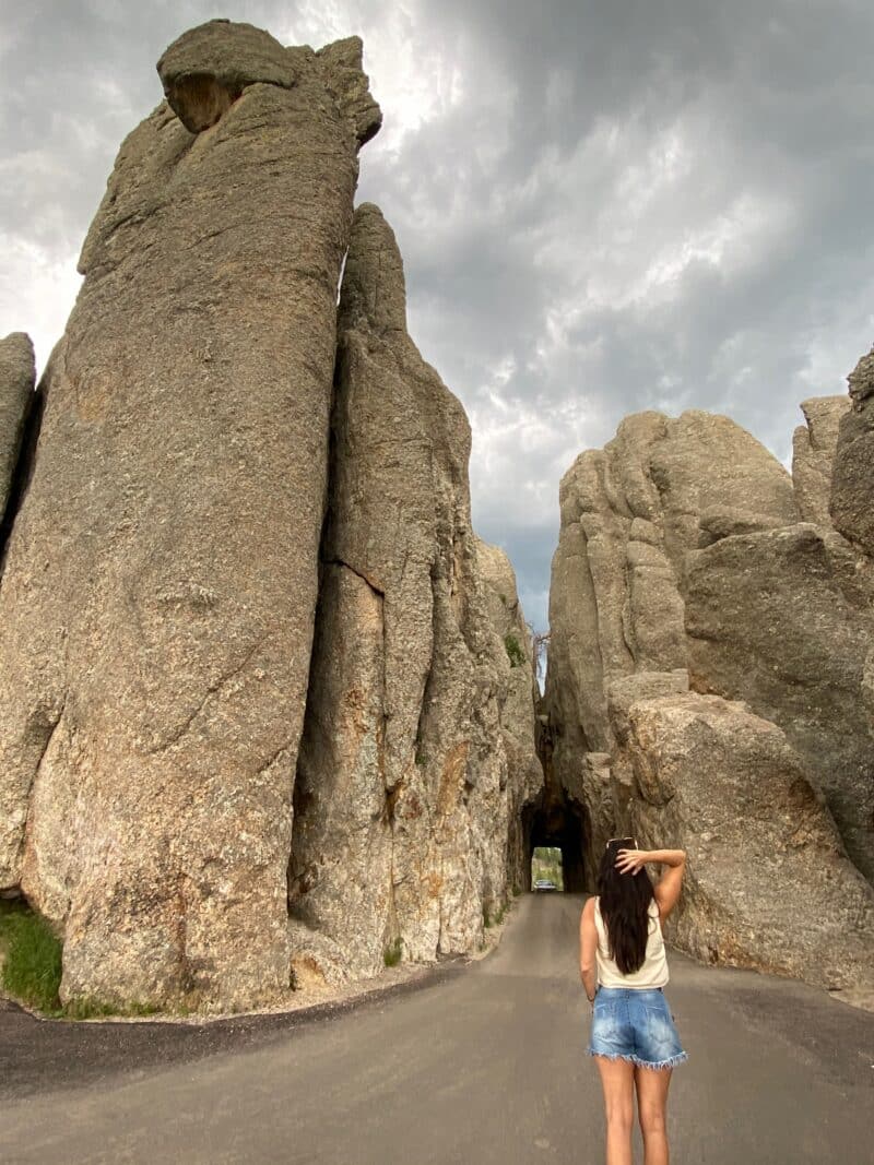 needles-highway-south-dakota-healthy-voyager