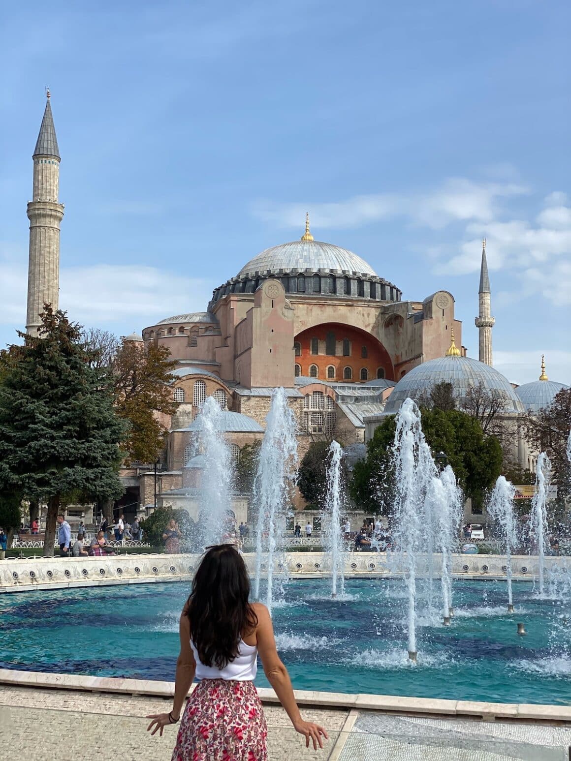 The Healthy Voyager Istanbul Part 1 | The Healthy Voyager