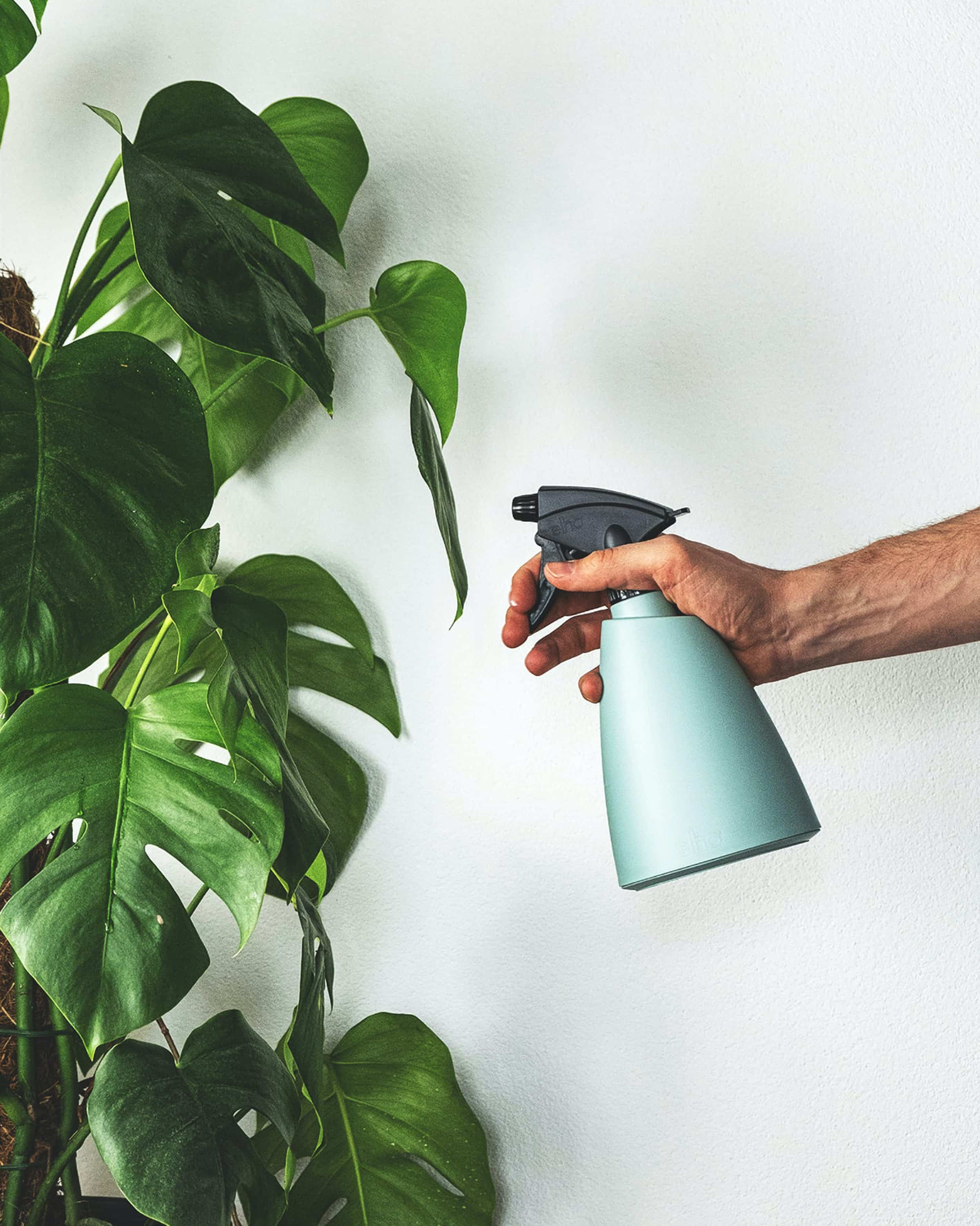 8 Tips From The Pros On Making An Indoor Garden