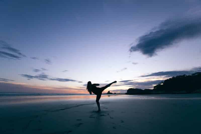 martial-art-healthy-voyager