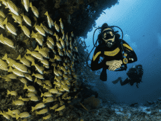 Explore The Underwater World With These Scuba Diving Tips