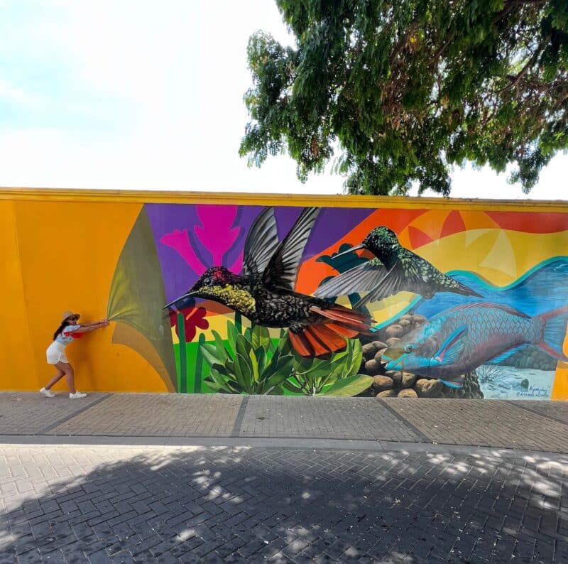 san-nicolas-murals-aruba-healthy-voyager