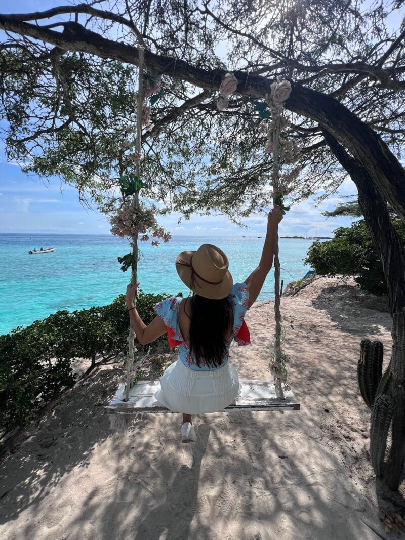 swing-aruba-healthy-voyager