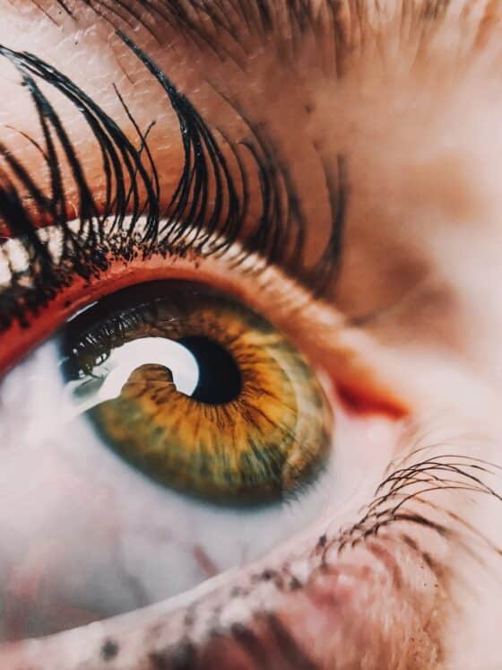 The Causes of Dry Eyes healthy voyager