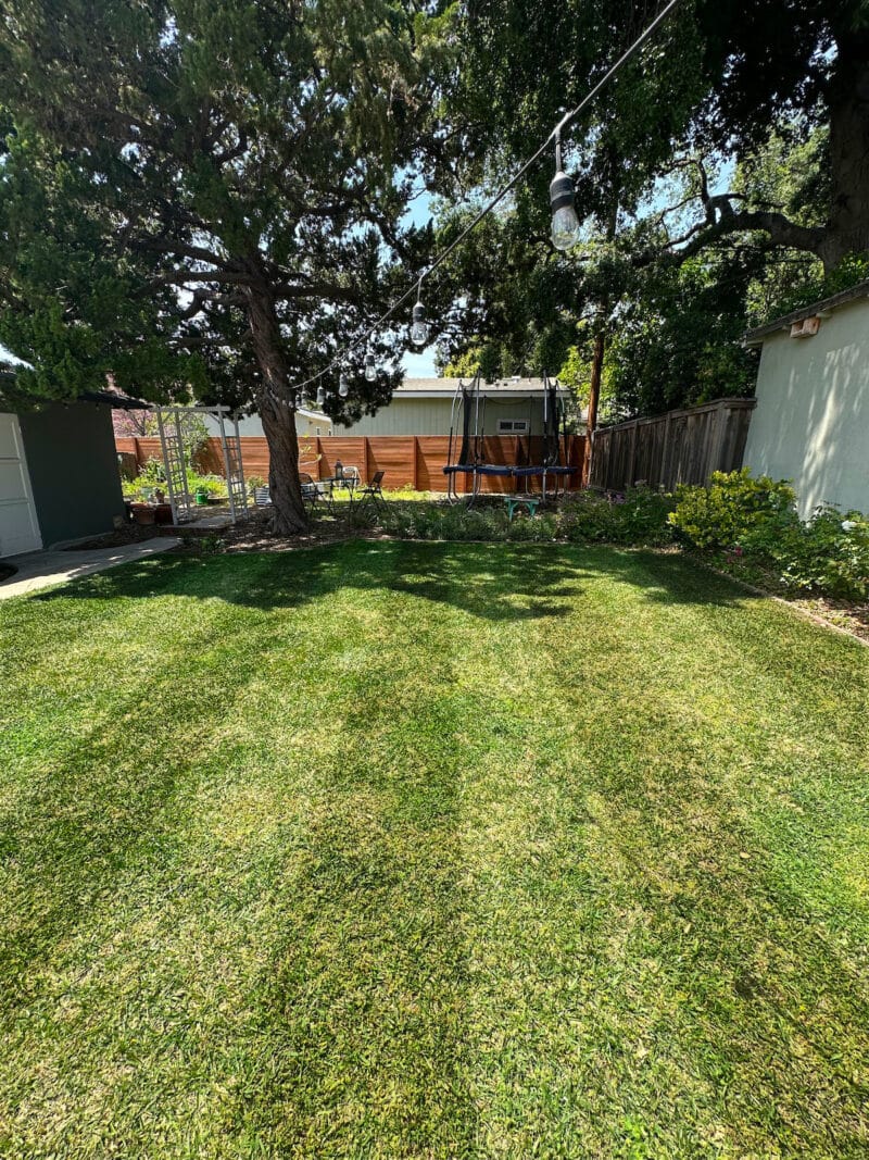 after-toro-stripe-lawn-mower-healthy-voyager