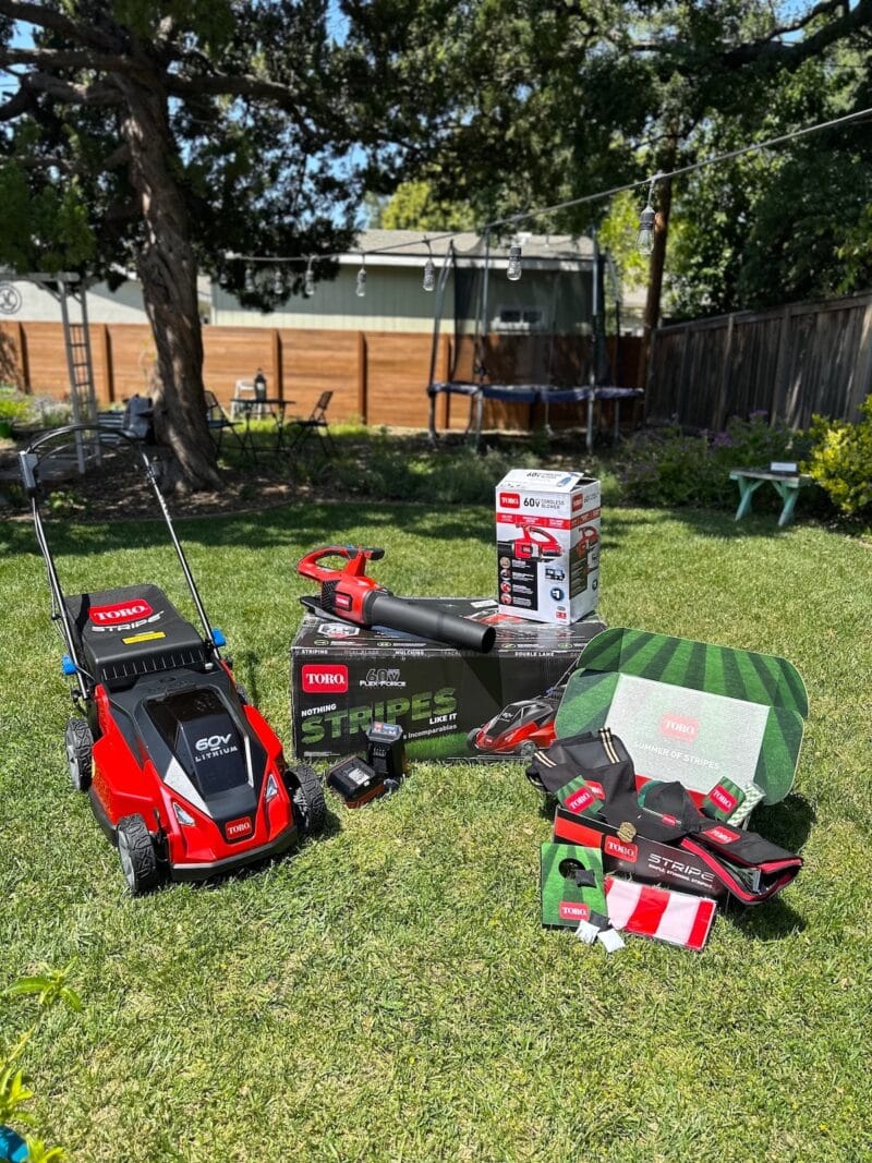 toro-lawncare-summer of stripes-products-healthy-voyager
