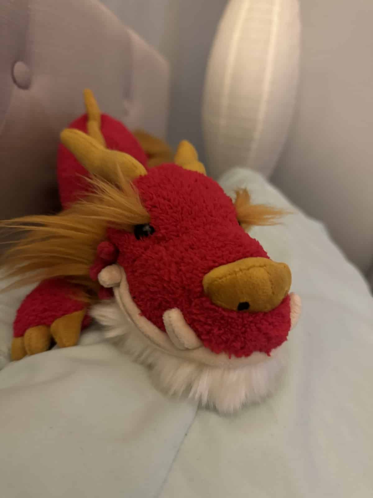 6 Fantastic Gifts For The Animal Lover In Your Life (Without Gifting An Animal!)