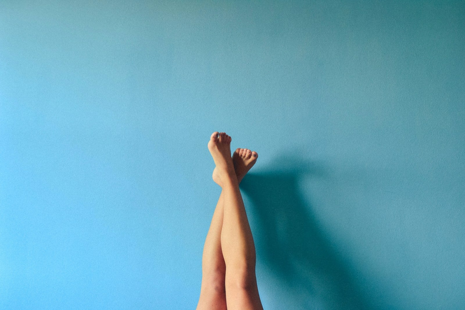 Varicose veins, characterised by twisted, enlarged...