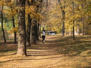 fall fitness