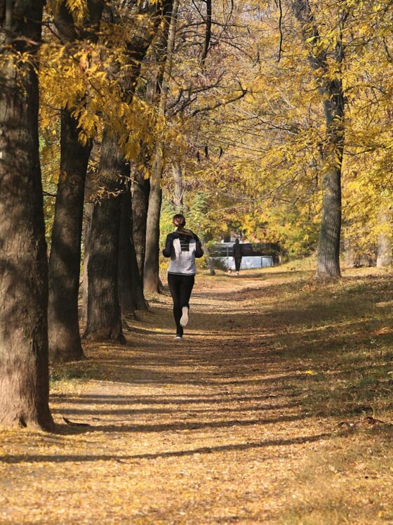 fall fitness