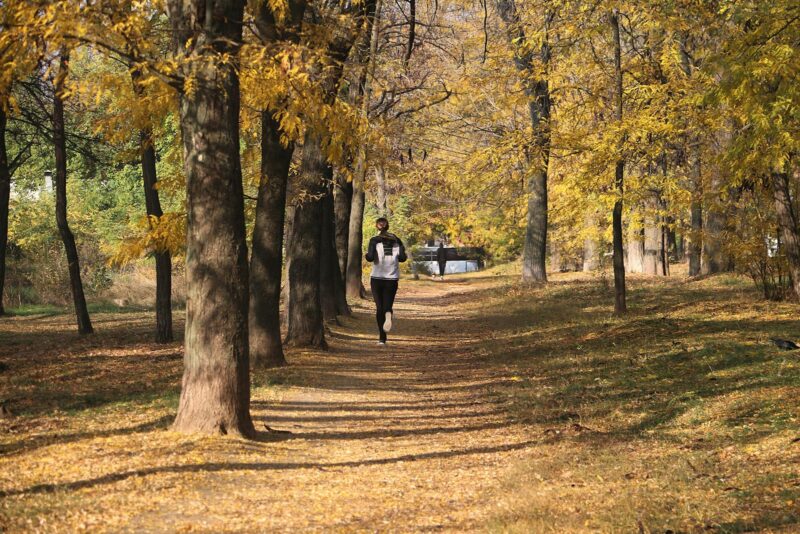 fall fitness